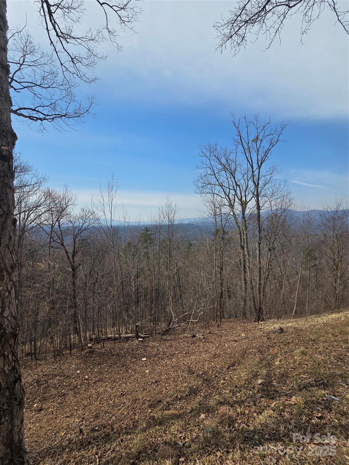 Land in Lake Lure 3