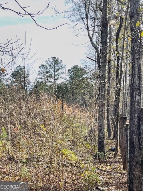 0 Zebulon Rd, Milner, GA, 30257 | Card Image