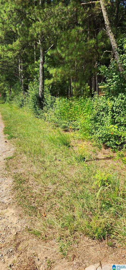 0-Lot 0 Hicks Road, Oneonta, AL, 35121 | Card Image