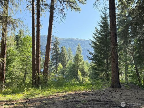 41 Davelaar Dr, Mazama, WA, 98833 | Card Image