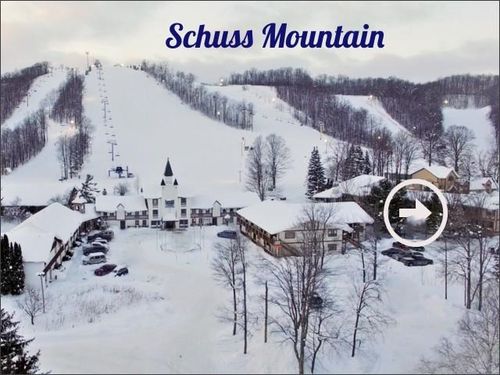 6519 Schuss Mountain Ln, Mancelona, MI, 49659 | Card Image