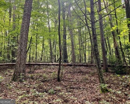 0 Mountain View Ln, Mc Caysville, GA, 30555 | Card Image