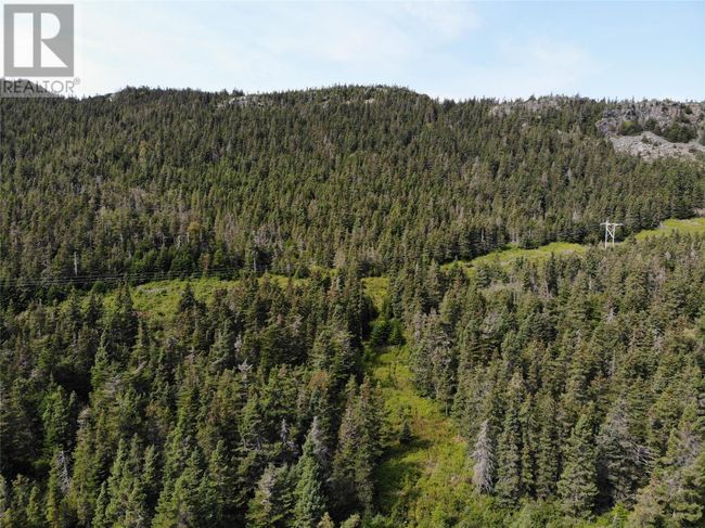 A - 136 Main Street, Home with 0 bedrooms, 0 bathrooms and null parking in Clarkes Beach NL | Image 10