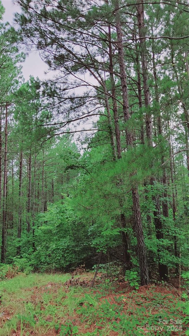 17 - 00 Sunset Dr, Home with 0 bedrooms, 0 bathrooms and null parking in Mill Spring NC | Image 14