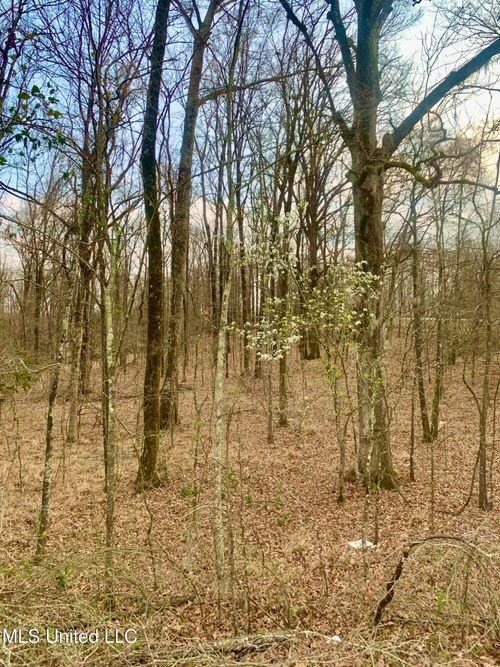 0 Warwick Rd, Clinton, MS, 39056 | Card Image