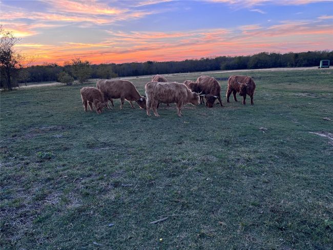 C - 4081 Fm 2736, Home with 0 bedrooms, 0 bathrooms and null parking in Campbell TX | Image 4