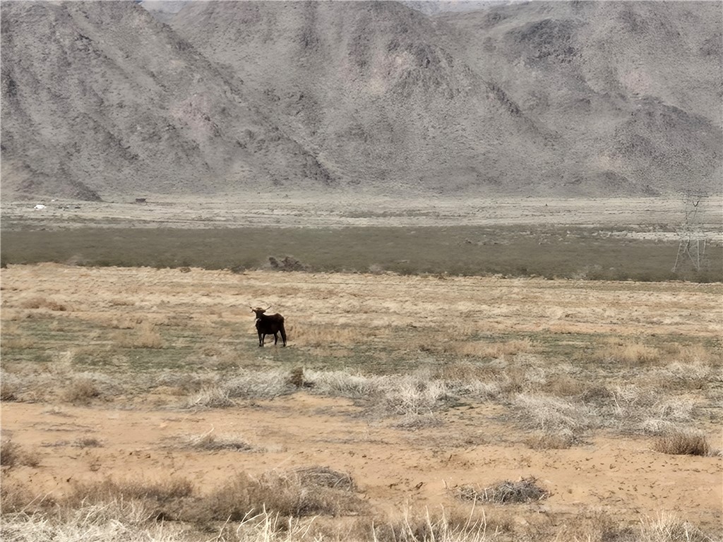 Land in Kingman 2