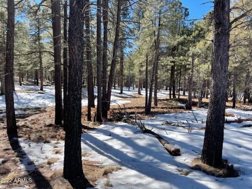 895-2692 State Route 260, Forest Lakes, AZ, 85931-0184 | Card Image
