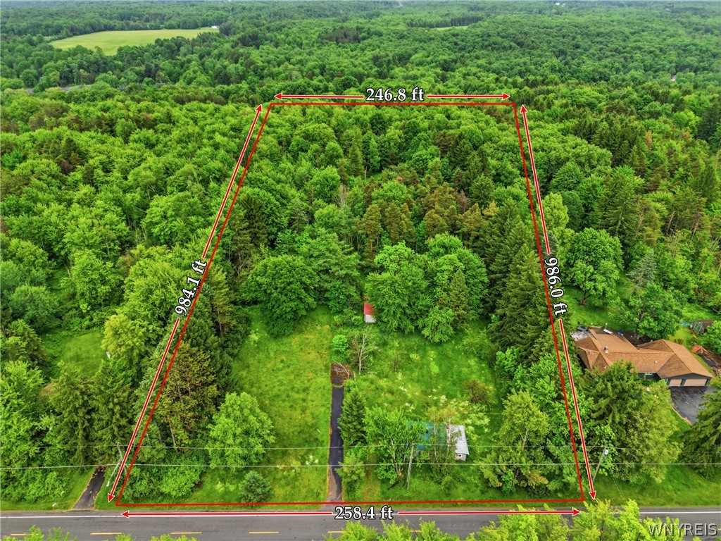 Land in Colden 2