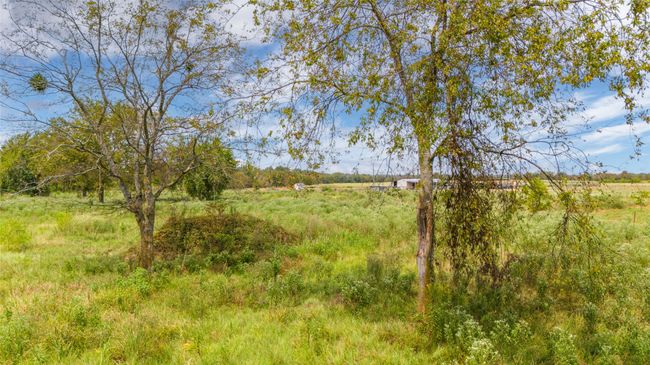 1987 Farm Road 900 N, Home with 0 bedrooms, 0 bathrooms and null parking in Saltillo TX | Image 8