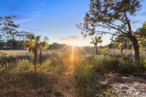 Land in Steinhatchee 4