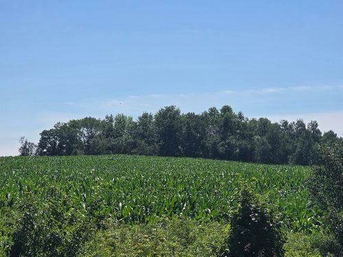00 110th St, Frederic, WI, 54837 | Card Image
