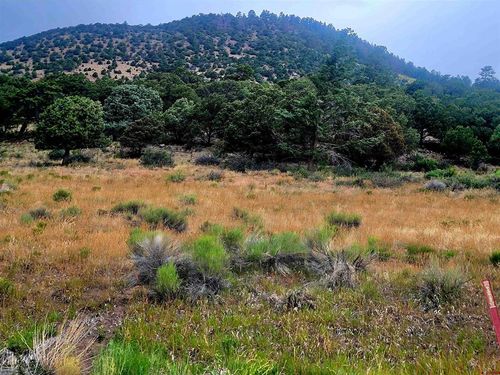 531 Bear Creek Cir, South Fork, CO, 81154 | Card Image