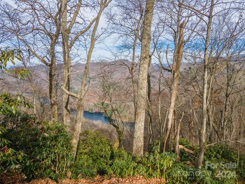 51-520 Morningside Drive, Tuckasegee, NC, 28783 | Card Image