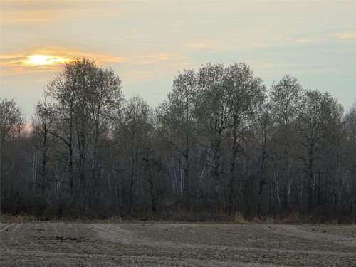 1563 Helena Ln, Conrath, WI, 54731 | Card Image