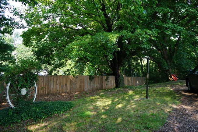 Private Backyard with Shade Trees | Image 7