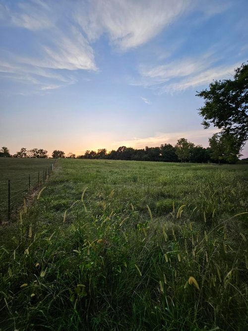 000 Lawrence 1100, Mt Vernon, MO, 65712 | Card Image