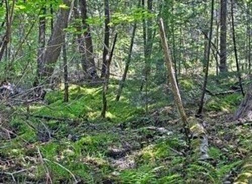 N 2723 Hwy 253, SARONA, WI, 54870 | Card Image