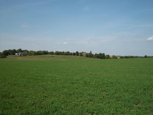 Lt1 Wilson Dr, Allenton, WI, 53002 | Card Image