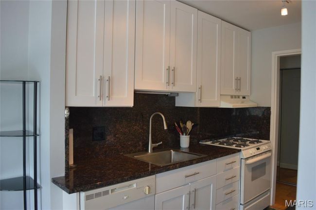 APT-4G - 4466 W Pine Blvd, Condo with 1 bedrooms, 1 bathrooms and null parking in Saint Louis MO | Image 12