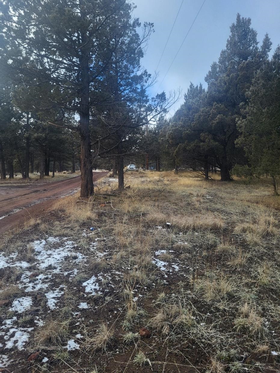 Land in Dorris 3