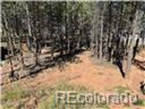 1394 Millstone Ln, Woodland Park, CO, 80863-7414 | Card Image
