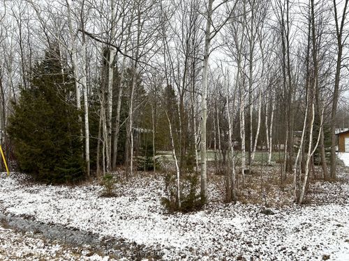 PT 7 Part Lot 23 N Maple Drive, Northern Bruce Peninsula, ON, N0H1Z0 | Card Image