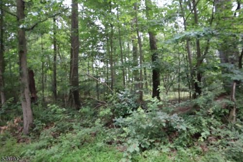 181 Mountain Rd, Ringoes, NJ, 08551-1402 | Card Image