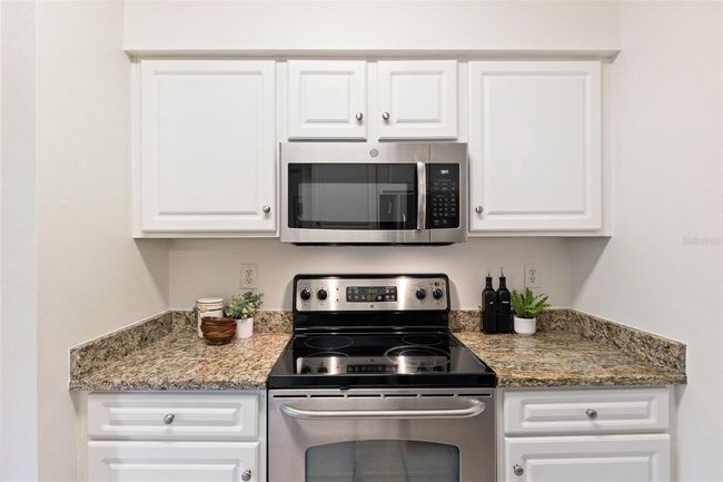 APT-10301 - 1910 E Palm Ave, Condo with 1 bedrooms, 1 bathrooms and null parking in TAMPA FL | Image 19