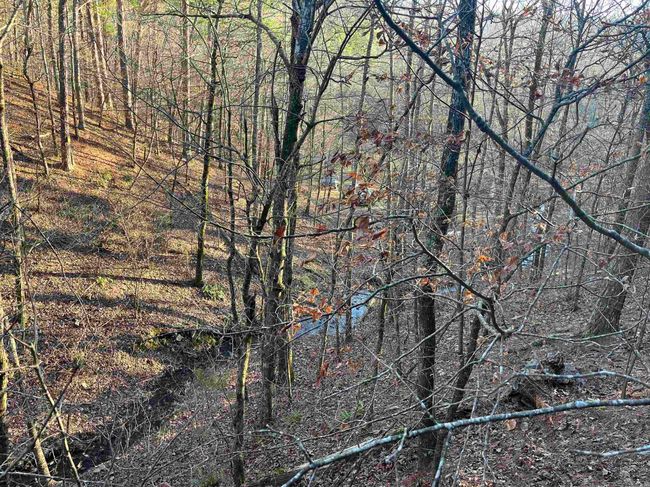 1071 Highway 375 E, Home with 0 bedrooms, 0 bathrooms and null parking in Mena AR | Image 4