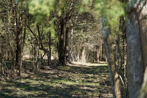 999 Old Lewisburg Hwy Tract 1, Columbia, TN, 38401 | Card Image