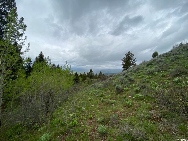 View of nature | Image 40
