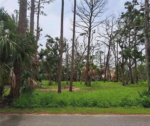 lot-4-401 W 1st Street Nw, STEINHATCHEE, FL, 32359 | Card Image