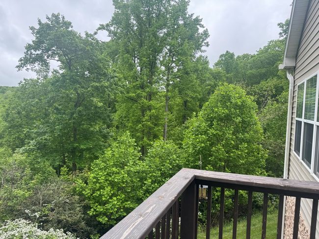 340 Royal Oaks Dr, House other with 6 bedrooms, 6 bathrooms and 47 parking in Daniels WV | Image 58