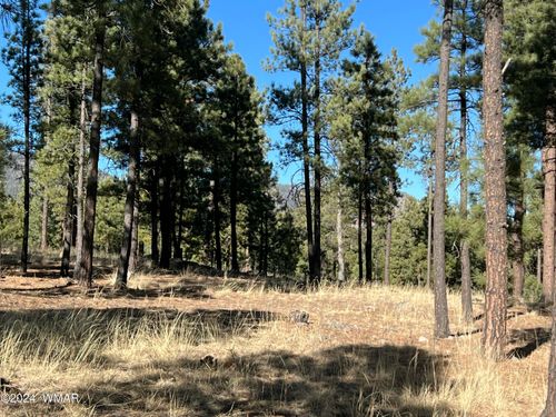 Lot C County Road N2147, Alpine, AZ, 85920 | Card Image