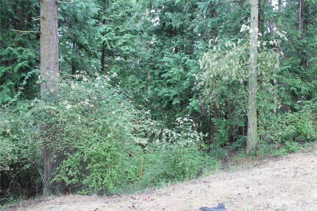 85 Quinault Loop, Home with 0 bedrooms, 0 bathrooms and null parking in Port Townsend WA | Image 11