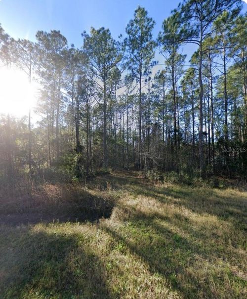 9930 Crotty Ave, HASTINGS, FL, 32145-5036 | Card Image