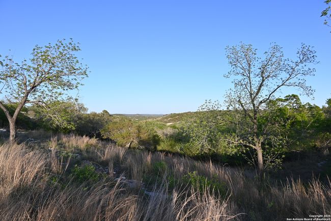 130 Falling Leaves Ct, Home with 0 bedrooms, 0 bathrooms and null parking in Blanco TX | Image 4