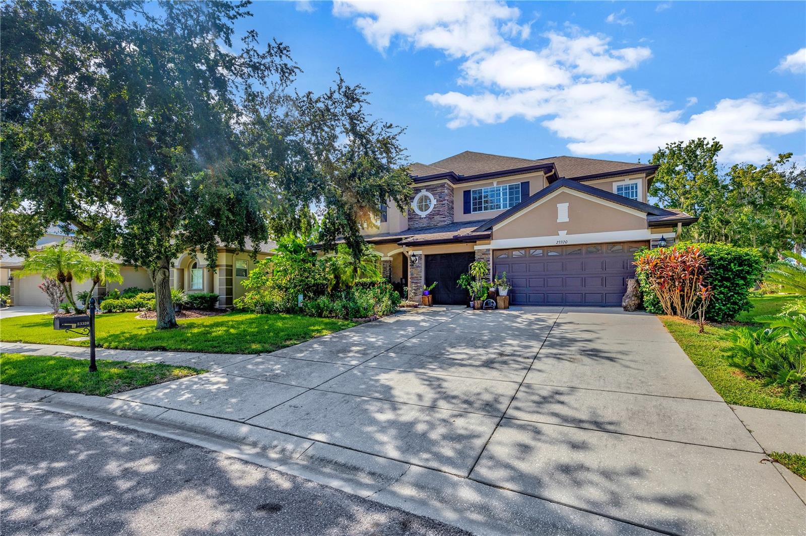 Dinhurst Ct, Land O Lakes, FL 34639