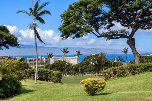 20-120 Kualapa Pl, Lahaina, HI, 96761 | Card Image