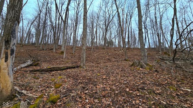 5900 S County Road 700 E, Home with 0 bedrooms, 0 bathrooms and null parking in Dillsboro IN | Image 53