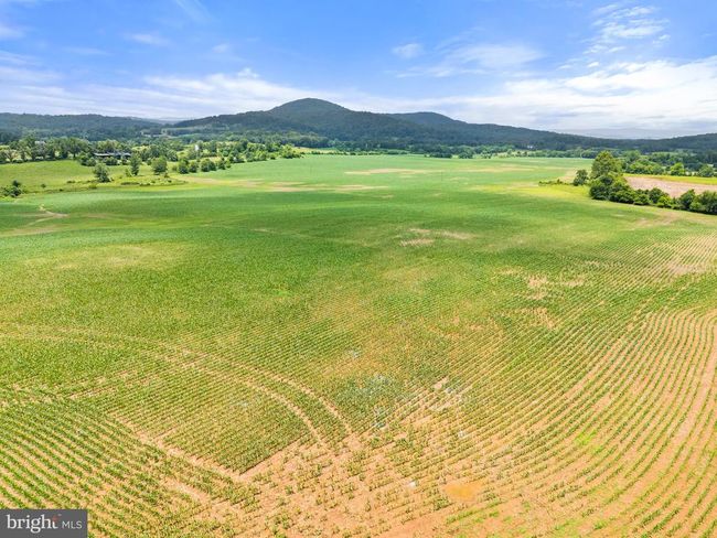 10674 Ada Rd, Home with 1 bedrooms, 1 bathrooms and null parking in MARSHALL VA | Image 10