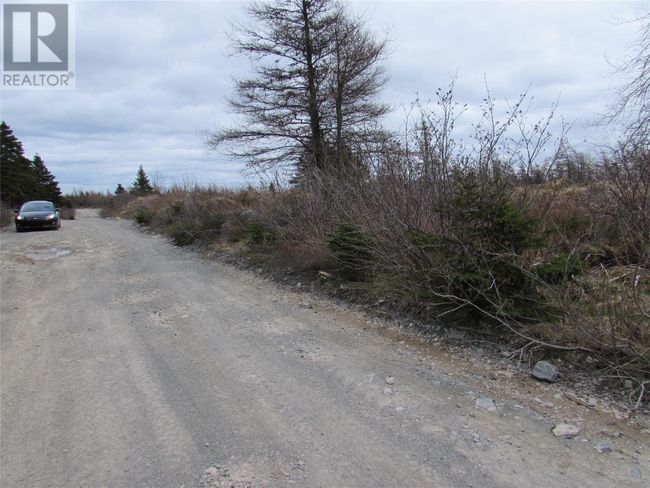 45 New Line Road, Home with 0 bedrooms, 0 bathrooms and null parking in Colliers NL | Image 17