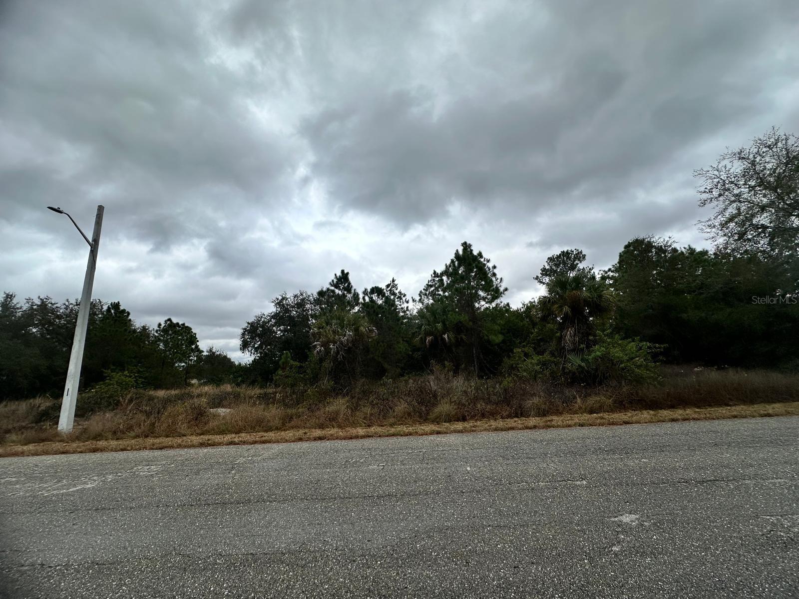 Land in LEHIGH ACRES 5