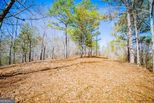 0 County Road 269, Home with 0 bedrooms, 0 bathrooms and null parking in Wedowee AL | Image 7