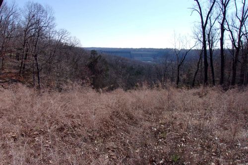 14-15-16-lots Country Club Ln, Bull Shoals, AR, 72619-0000 | Card Image