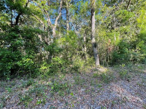 Lot 3 Nw 82 Ct, Chiefland, FL, 32626 | Card Image