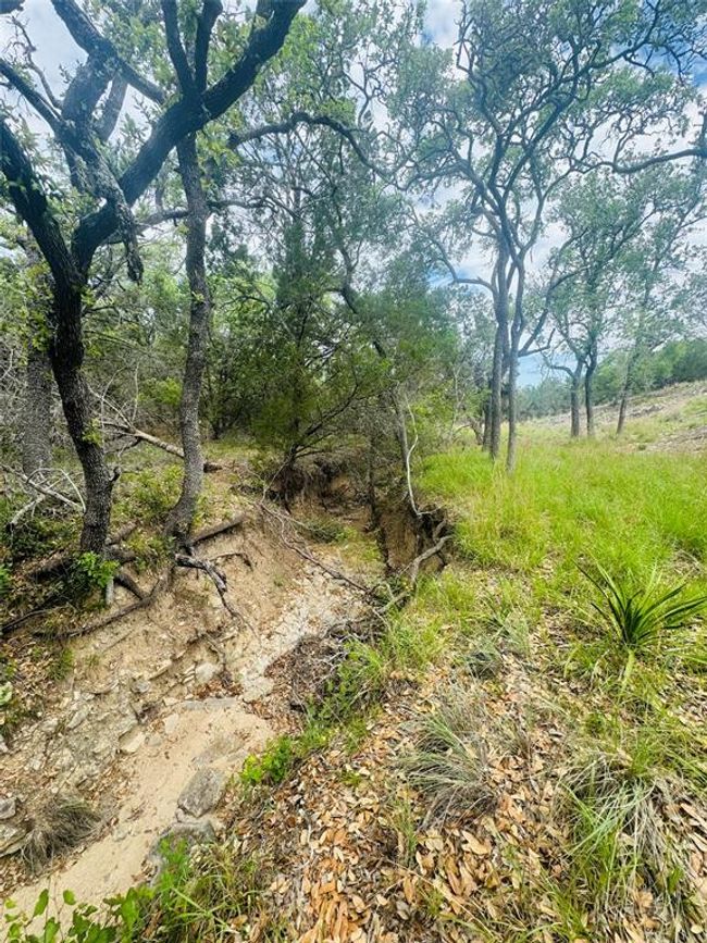 560 Longview Rd, Home with 0 bedrooms, 0 bathrooms and null parking in Dripping Springs TX | Image 31
