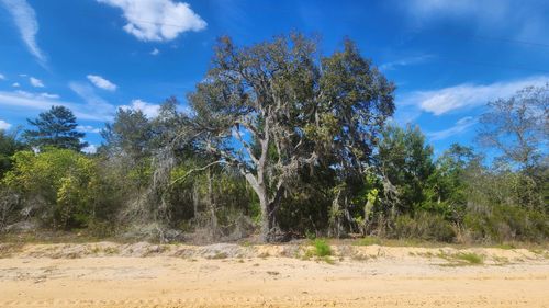 0 Birch St, Interlachen, FL, 32148 | Card Image