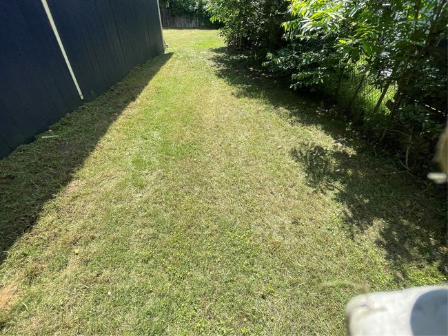 View of yard | Image 14
